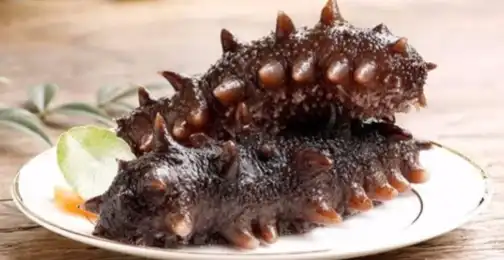 How Sea Cucumber Peptide Outperforms Marine Collagen